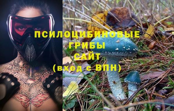 дживик Краснослободск