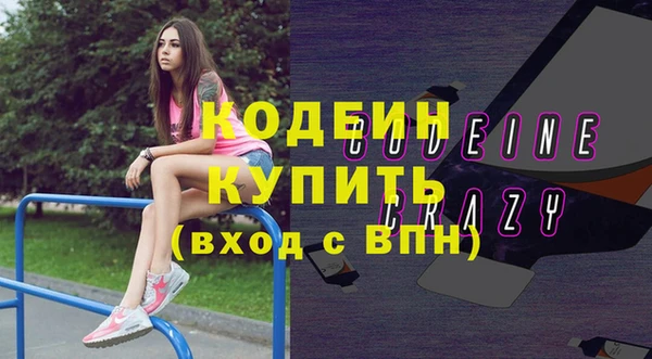 дживик Краснослободск
