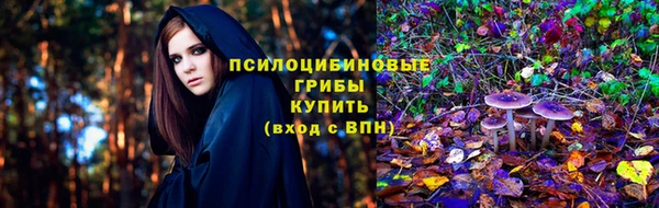 дживик Краснослободск