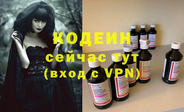 дживик Краснослободск