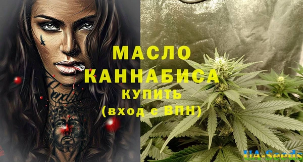 дживик Краснослободск