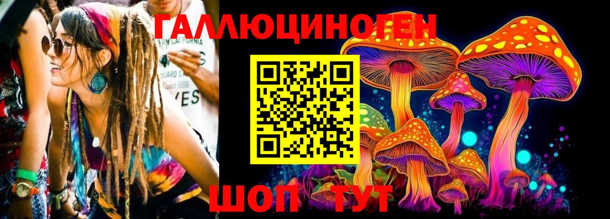 Янаул  Псилоцибиновые грибы Psilocybine cubensis  Вход с VPN  Галлюциногенные грибы GOLDEN TEACHER 