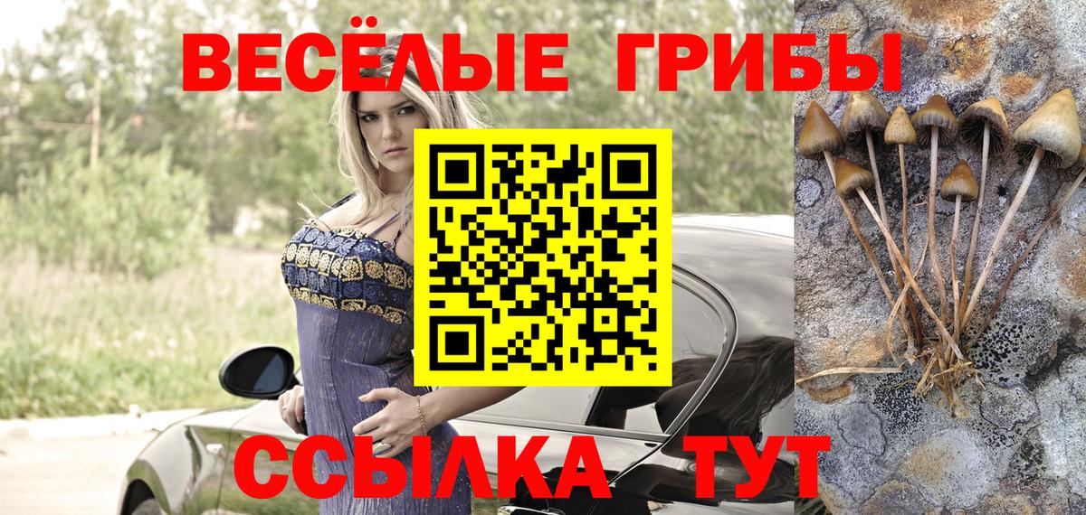Псилоцибиновые грибы Psilocybe Янаул