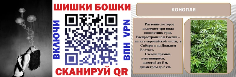 дарнет шоп  Янаул  Шишки марихуана планчик 